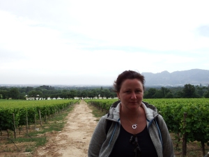 Groot Constantia vingård.